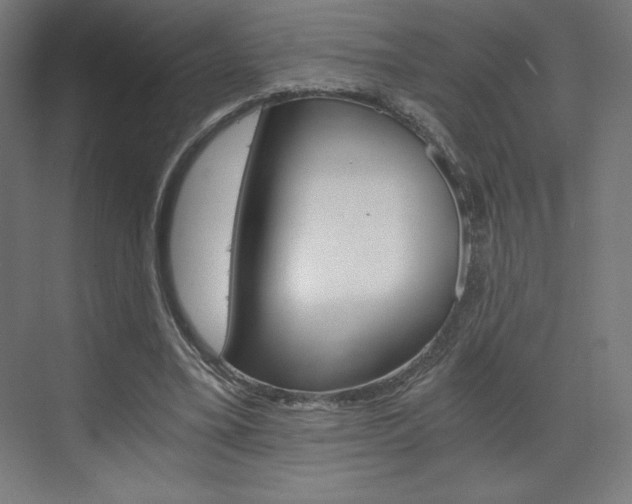 X0000073430395200607281011