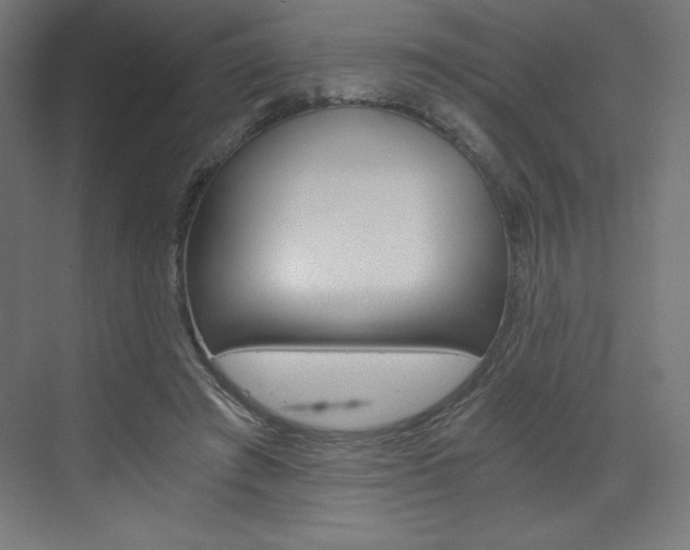 X0000073430401200607281010