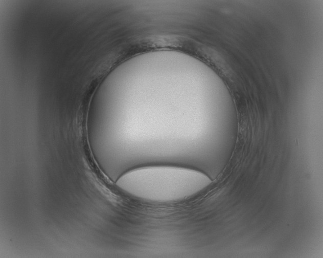 X0000073430402200607281010