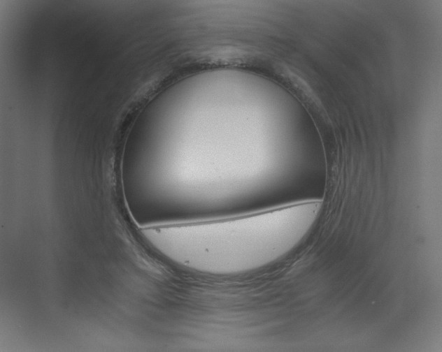 X0000073430403200607281010