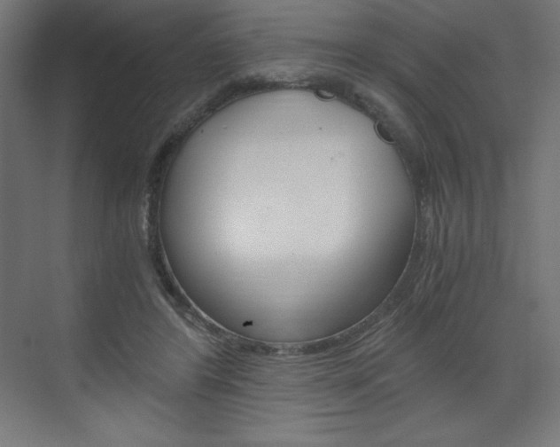 X0000073430404200607281010