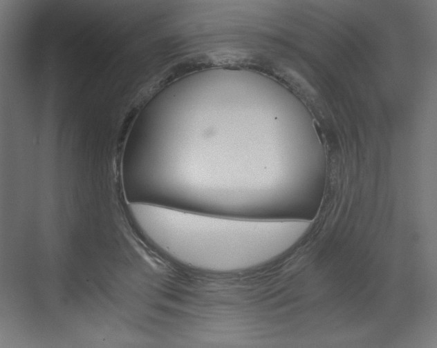 X0000073430405200607281010