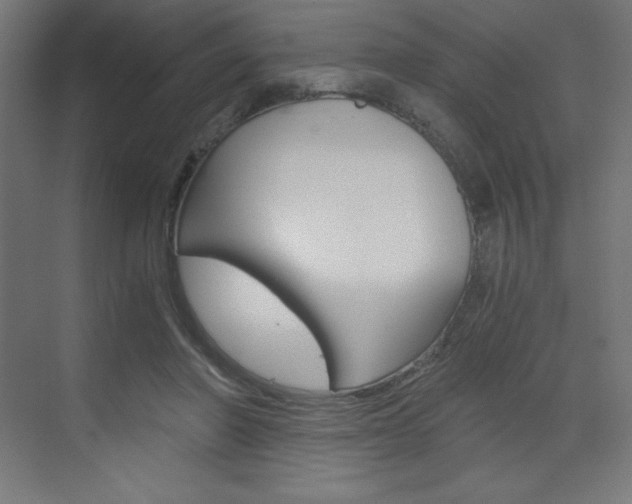 X0000073430406200607281010