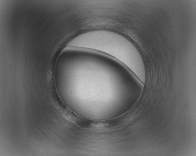 X0000073430407200607281010