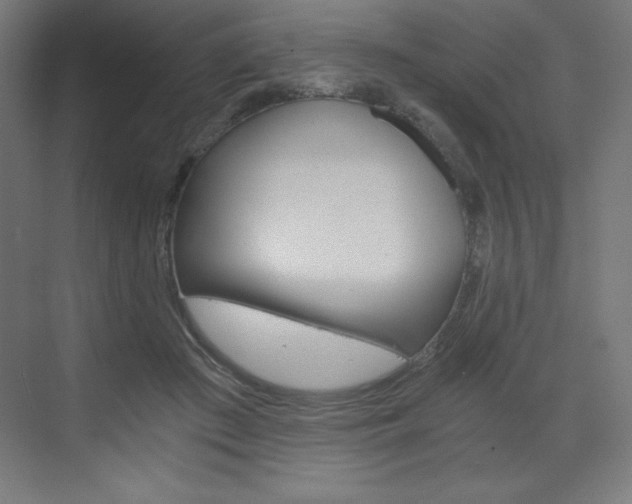X0000073430409200607281010