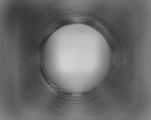 X0000073430410200607281010