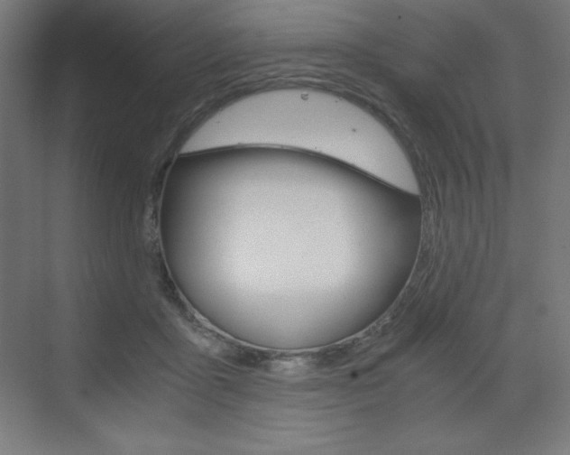 X0000073430411200607281010