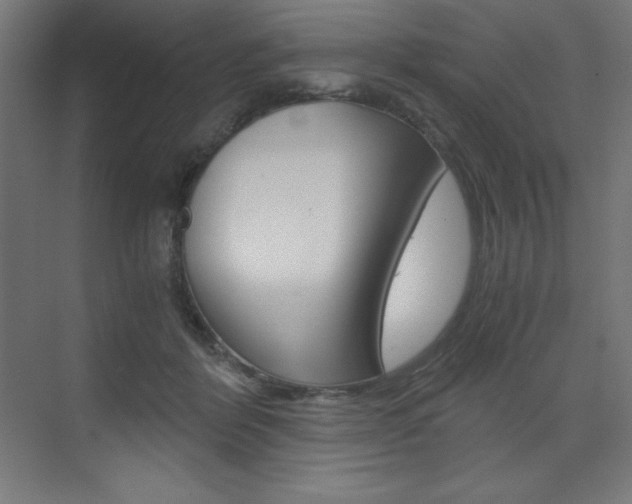X0000073430412200607281010