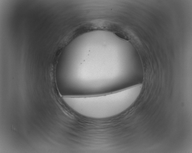X0000073430413200607281010