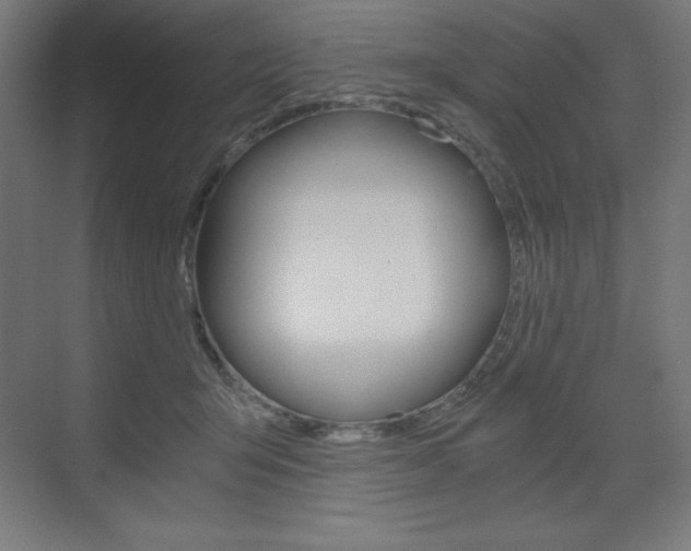 X0000073430415200607281010