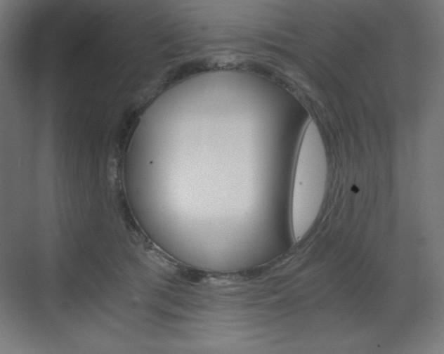 X0000073430417200607281010