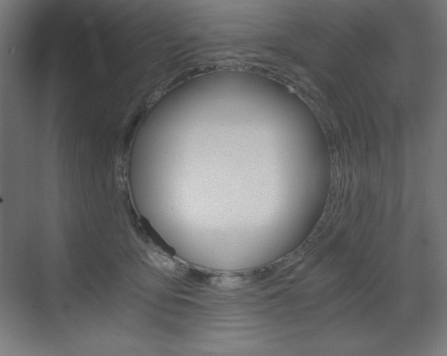 X0000073430419200607281010