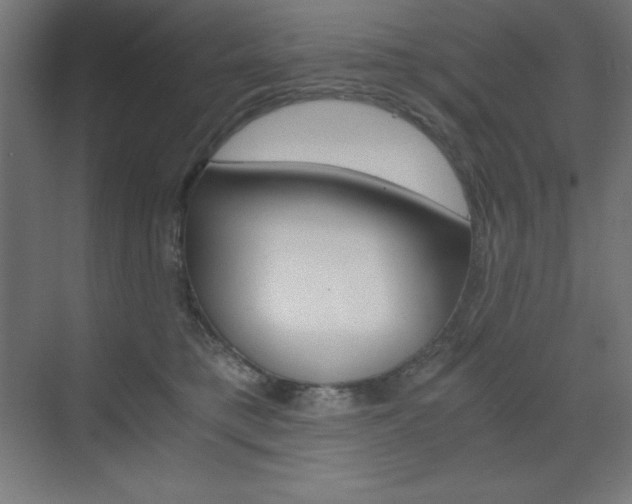 X0000073430421200607281010