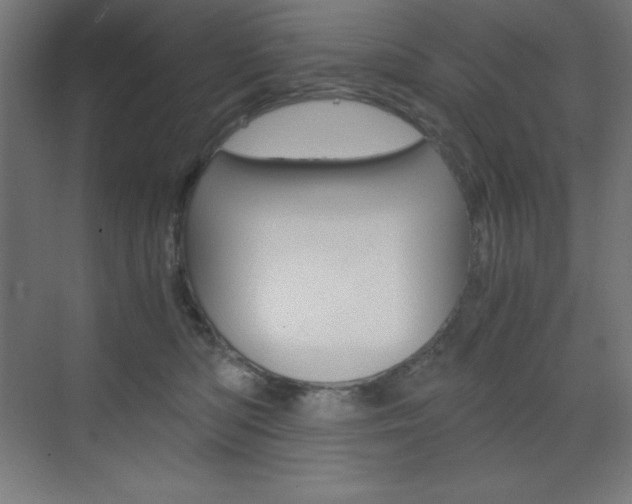 X0000073430422200607281010