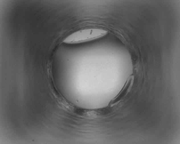 X0000073430423200607281010