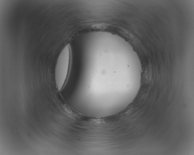 X0000073430424200607281010