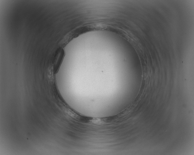 X0000073430425200607281010