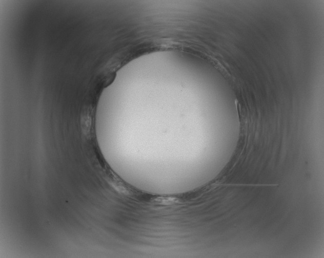 X0000073430427200607281010