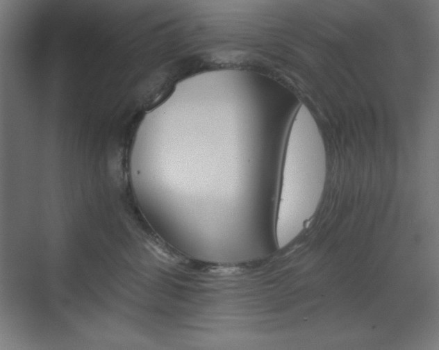 X0000073430428200607281010
