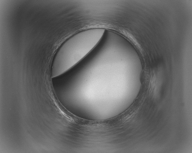 X0000073430433200607281009