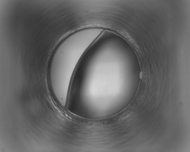 X0000073430434200607281009