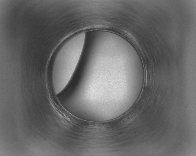 X0000073430435200607281009