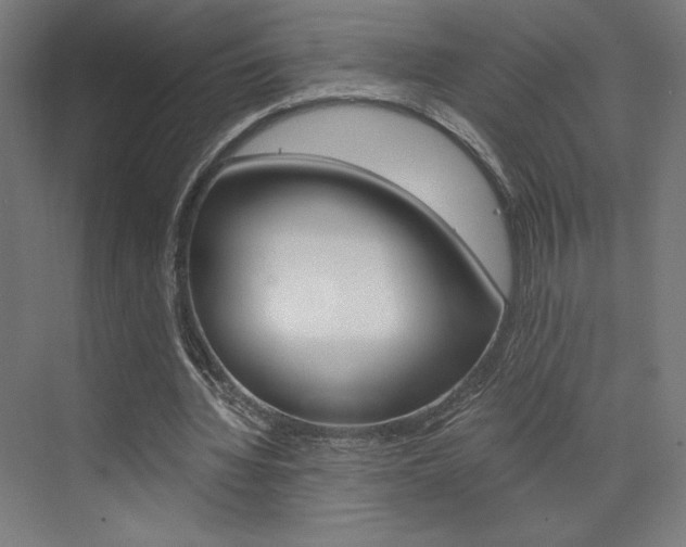 X0000073430436200607281009