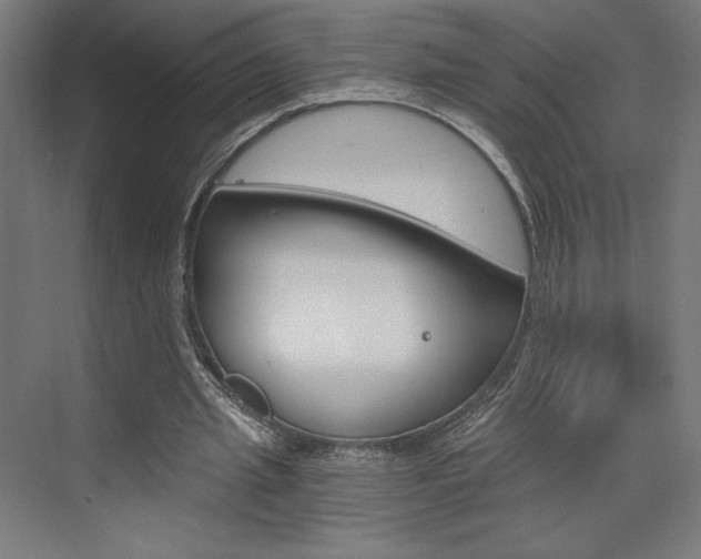 X0000073430437200607281009