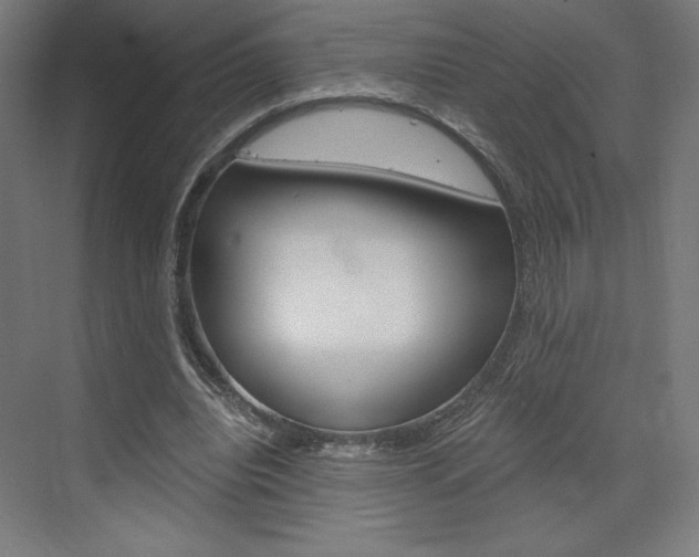 X0000073430440200607281009