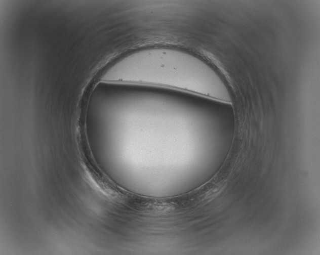 X0000073430443200607281009
