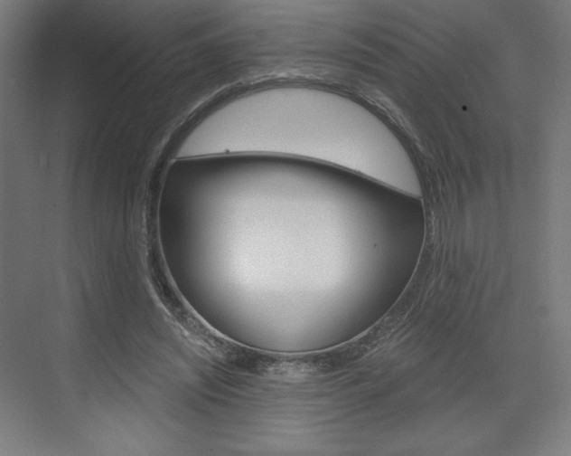 X0000073430444200607281009