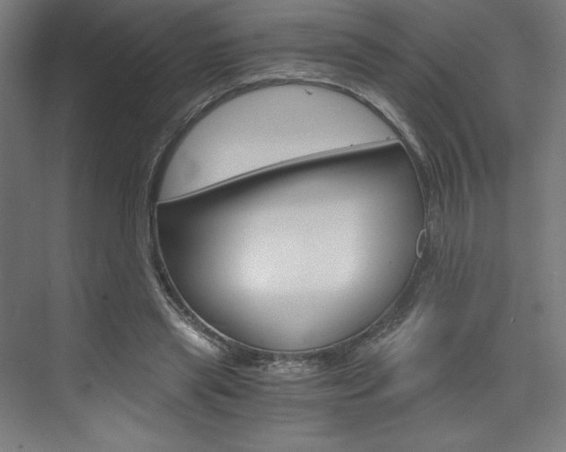 X0000073430445200607281009