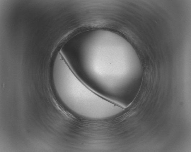 X0000073430446200607281009