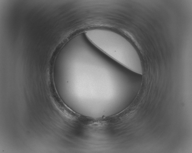 X0000073430447200607281009