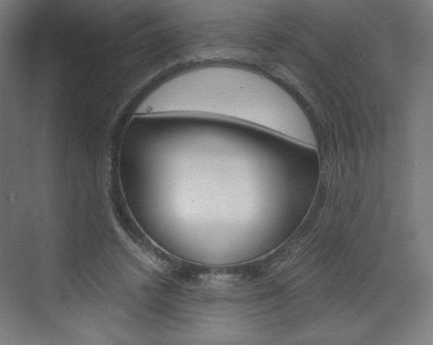 X0000073430448200607281009