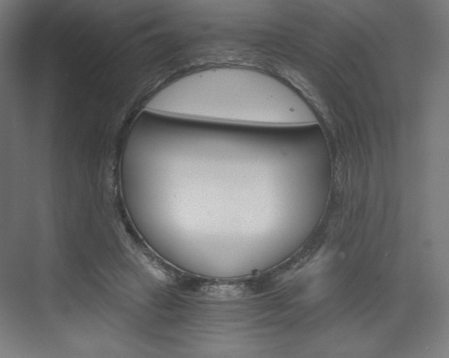 X0000073430449200607281009