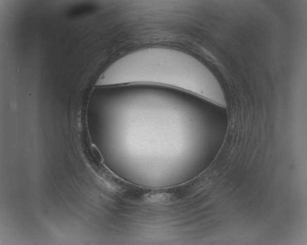 X0000073430452200607281009