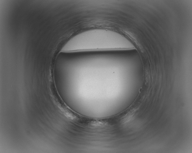 X0000073430453200607281009