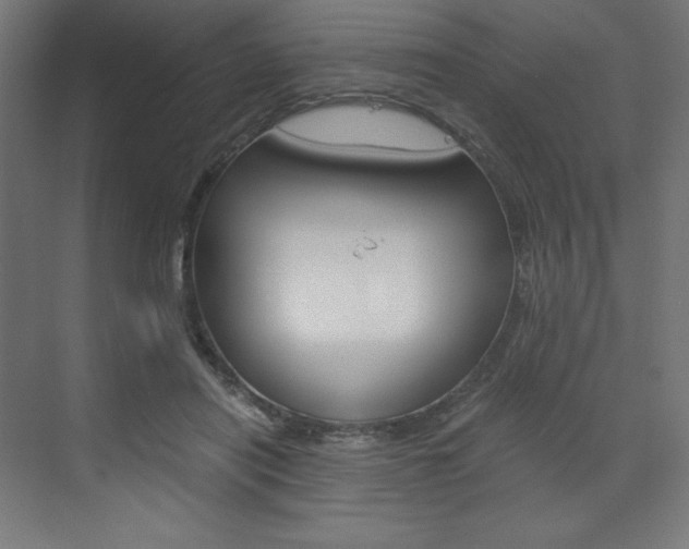 X0000073430454200607281009