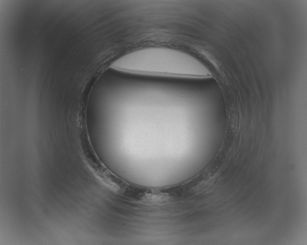X0000073430455200607281009