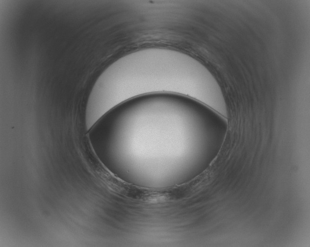 X0000073430456200607281009