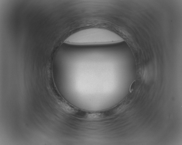 X0000073430461200607281010