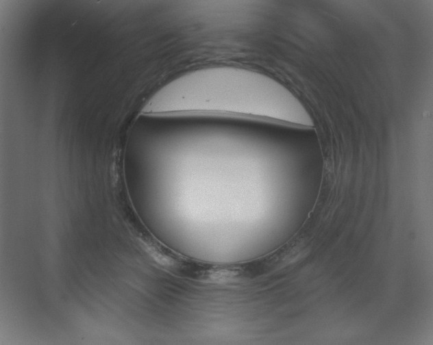 X0000073430462200607281010