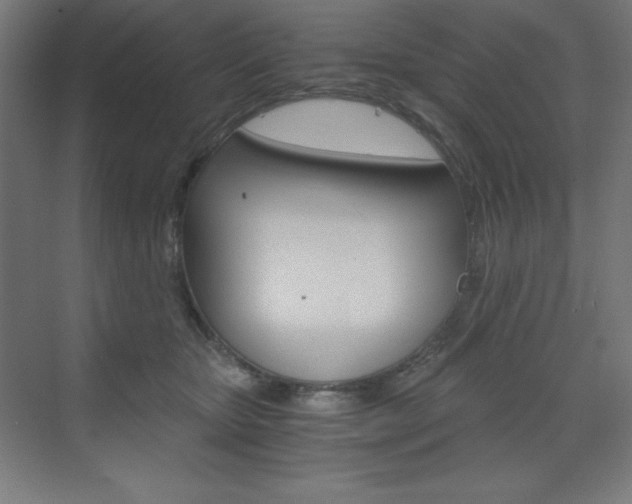 X0000073430467200607281010