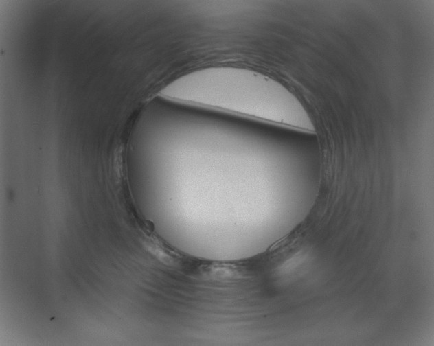 X0000073430475200607281010