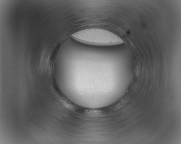 X0000073430476200607281010