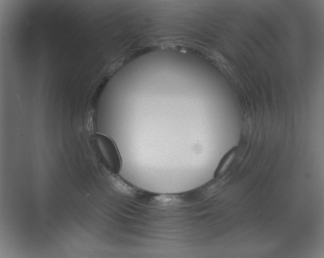 X0000073430477200607281010