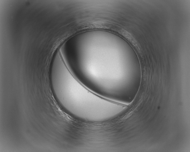 X0000073430481200607281009