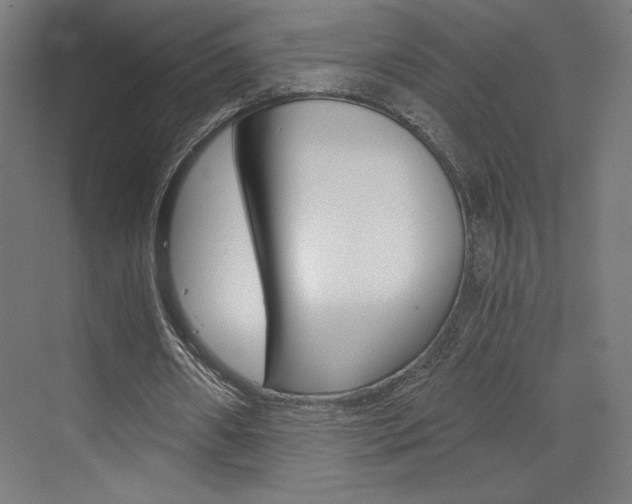 X0000073430482200607281009