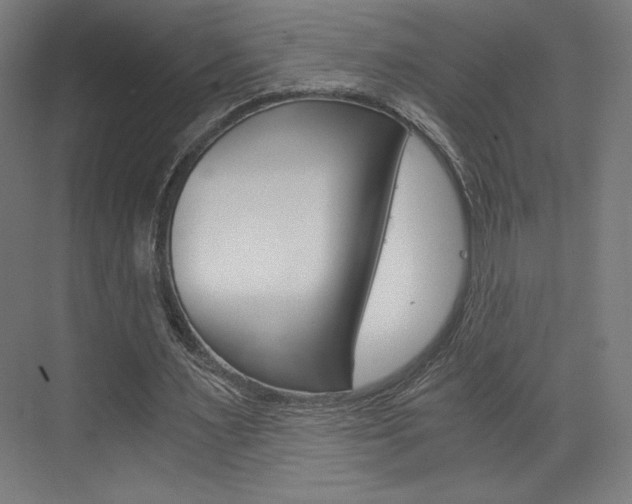 X0000073430483200607281009